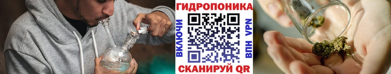 сколько стоит  Шлиссельбург  МАРИХУАНА White Widow 